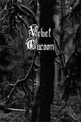 Velvet Cacoon : Music for Falling Buildings